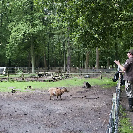 Burghotel Hotel Dinklage