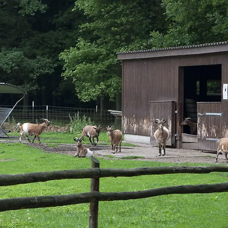 호텔 Burghotel 딩클리지