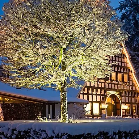 Отель Burghotel Динклаге