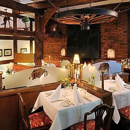 Burghotel Отель 4*