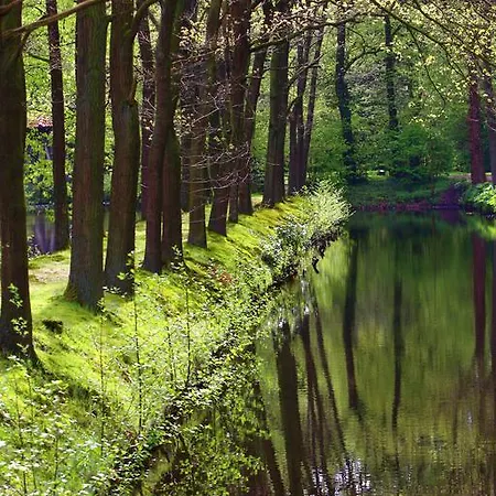 Hotel Burghotel Dinklage