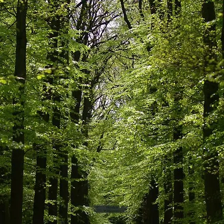 Hotel Burghotel Dinklage