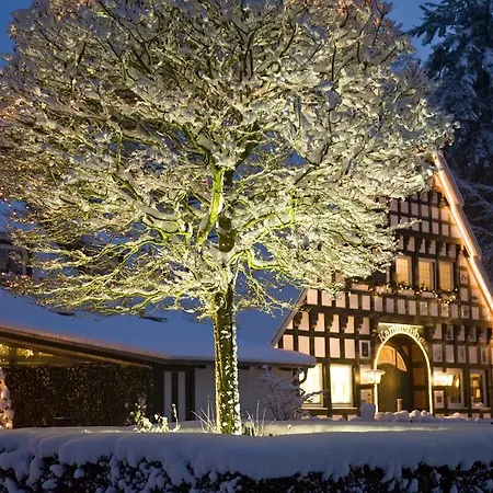 Burghotel 4*