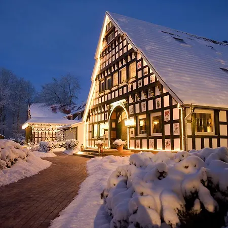Burghotel 4* Динклаге
