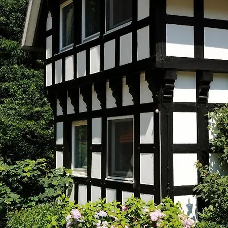 Отель Burghotel Динклаге