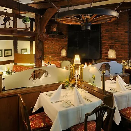 فندق Burghotel 4*