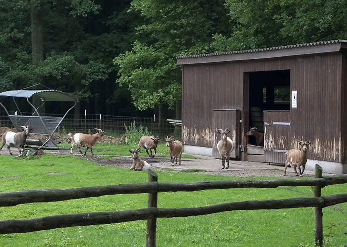 Hotel Burghotel Dinklage