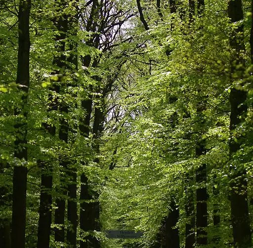 Hotel Burghotel Dinklage